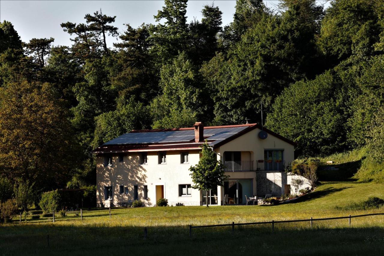 Guesthouse Idila Pod Nanosom Senozece Экстерьер фото